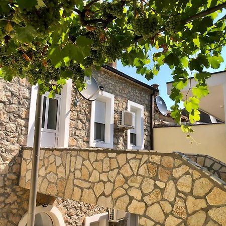 Vila Razic Danilovgrad Εξωτερικό φωτογραφία