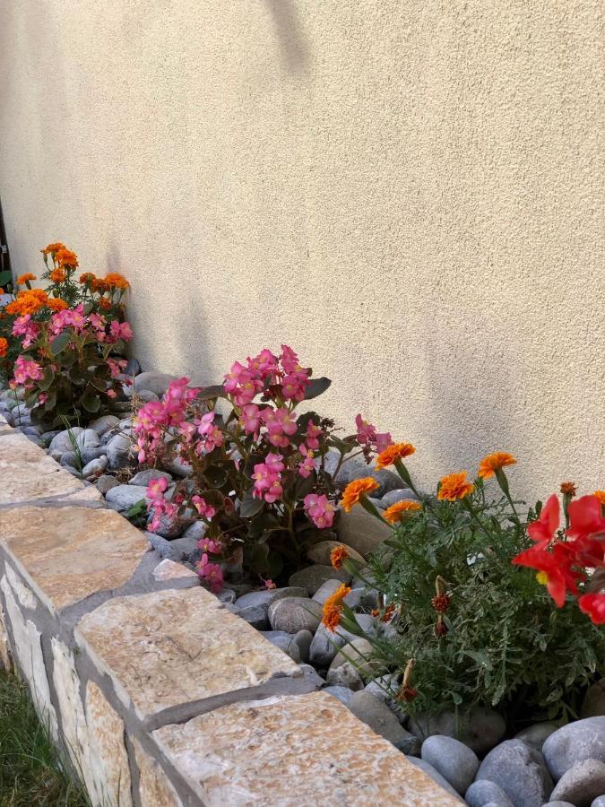 Vila Razic Danilovgrad Εξωτερικό φωτογραφία